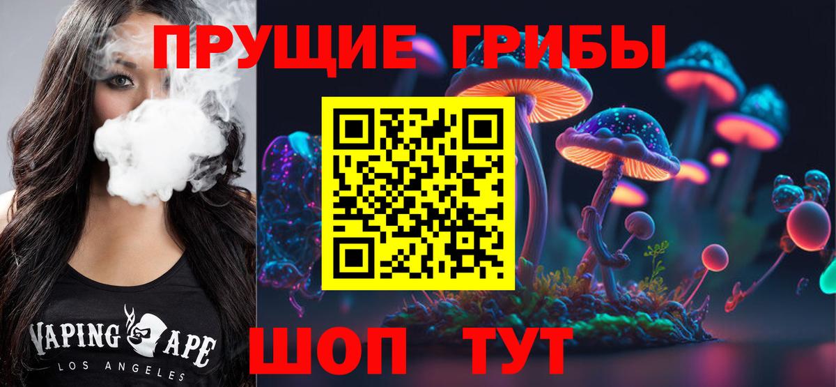 Псилоцибиновые грибы Cubensis  Вход с VPN  Альметьевск 